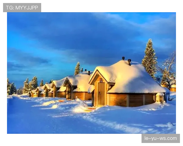 芬兰国际排名稳步提升，彰显强劲发展势头与全球竞争力