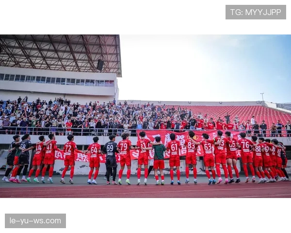 威尔士球迷热情助威，点燃赛场氛围助力球队持续高光