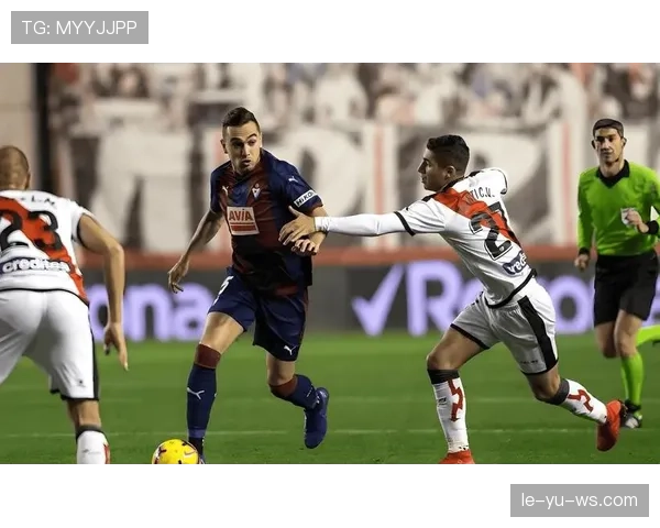 美洲杯黑马强势崛起，稳健表现引爆球迷热议